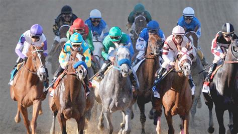 belmont stakes betting guide|Belmont Stakes Odds: Online Betting Guide For 2024 Horse Race .